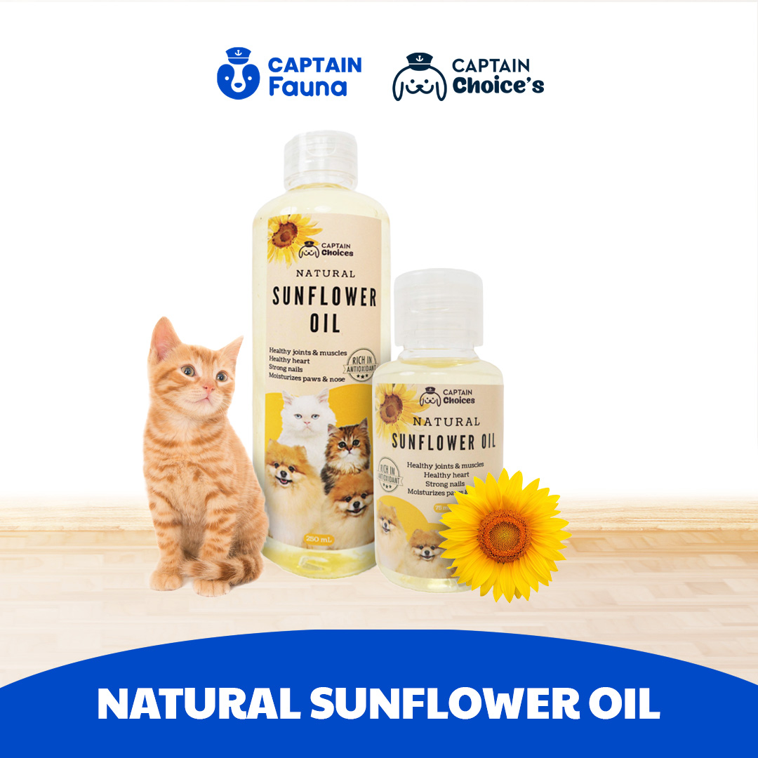 Sun Flower Oil Untuk Kucing Anjing